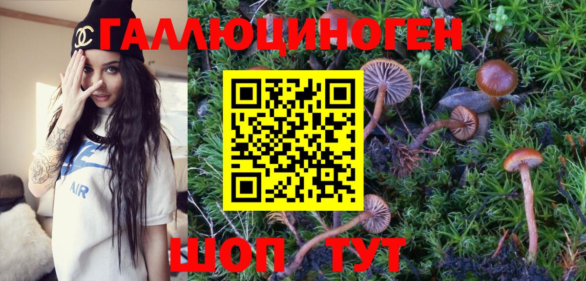 Галлюциногенные грибы Magic Shrooms  Псилоцибиновые грибы GOLDEN TEACHER  Вход с VPN  Канаш 